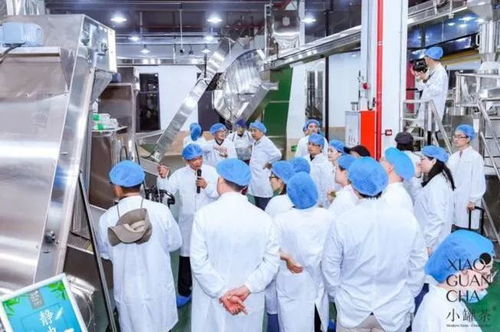 長江商報 投資15億小罐茶黃山工廠明年啟用，以高標準高品質引領中國茶市，搶占房地產投資新風口
